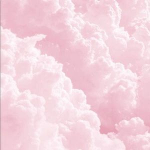 Meet your Posher, Haleigh